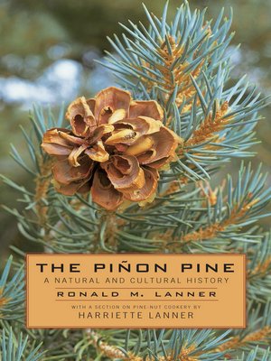 cover image of The Pinon Pine